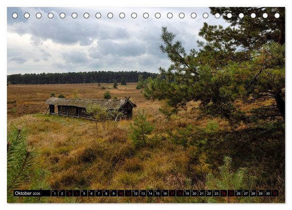 Produktbild: L&uuml;neburger Heide (Tischkalender 2026 DIN A5 quer), CALVENDO Monatskalender