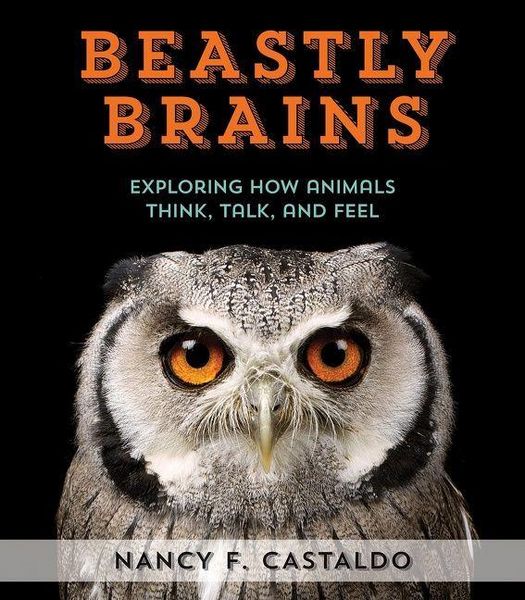 Produktbild: Beastly Brains