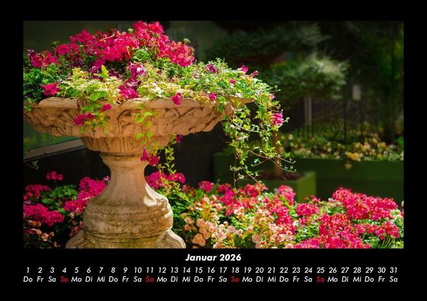 Produktbild: Blumentr&auml;ume 2026 Fotokalender DIN A3