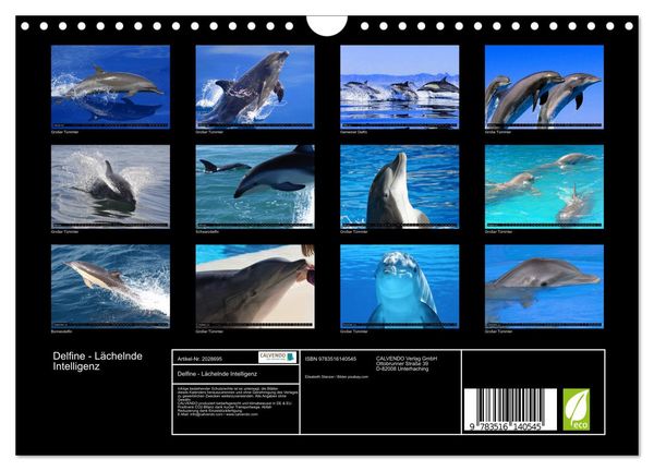 Produktbild: Delfine - L&auml;chelnde Intelligenz (Wandkalender 2026 DIN A4 quer), CALVENDO Monatskalender