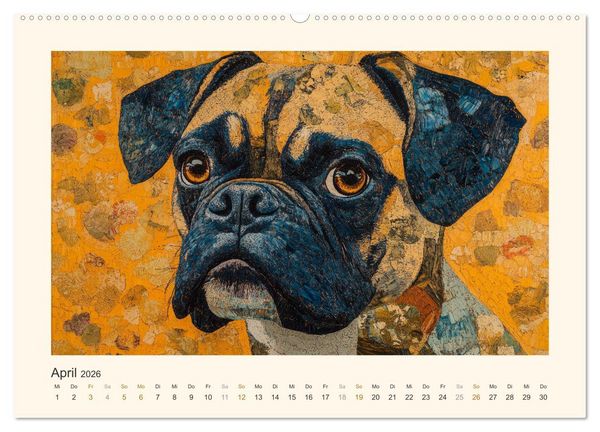 Produktbild: Bunte Boxer (Wandkalender 2026 DIN A2 quer), CALVENDO Monatskalender