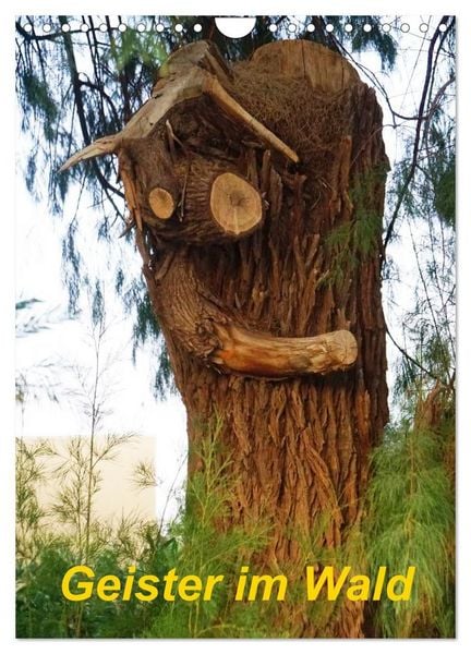 Produktbild: Geister im Wald 2027 (Wandkalender 2027 DIN A4 hoch), CALVENDO Monatskalender