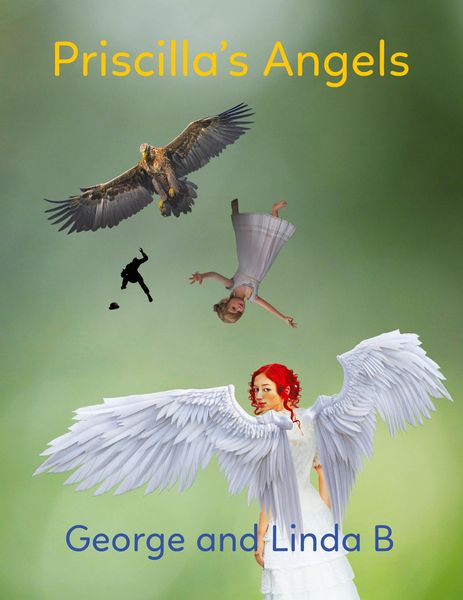 Produktbild: Priscilla's Angels