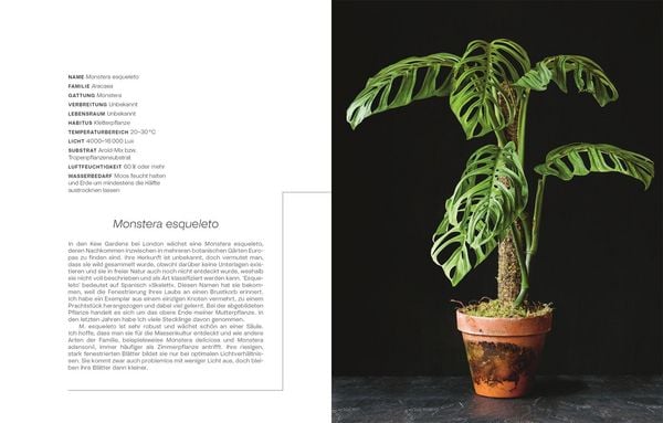 Produktbild: Urban Jungle Style