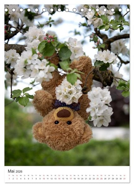 Produktbild: Travelling Teddy liebt Blumen und Bl&uuml;ten (Tischkalender 2026 DIN A5 hoch), CALVENDO Monatskalender