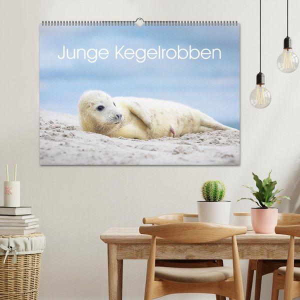 Produktbild: Junge Kegelrobben (Wandkalender 2026 DIN A2 quer), CALVENDO Monatskalender