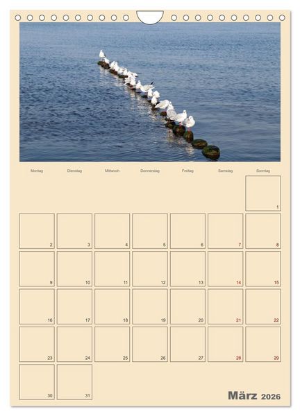 Produktbild: Usedom Ostsee - Terminplaner (Wandkalender 2026 DIN A4 hoch), CALVENDO Monatskalender