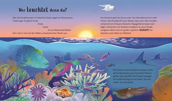 Produktbild: Tiergeschichten zum Tr&auml;umen. Zauber der Nacht
