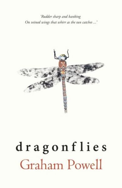 Produktbild: Dragonflies
