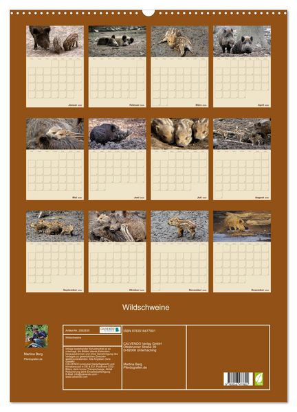 Produktbild: Wildschweine (Wandkalender 2026 DIN A2 hoch), CALVENDO Monatskalender