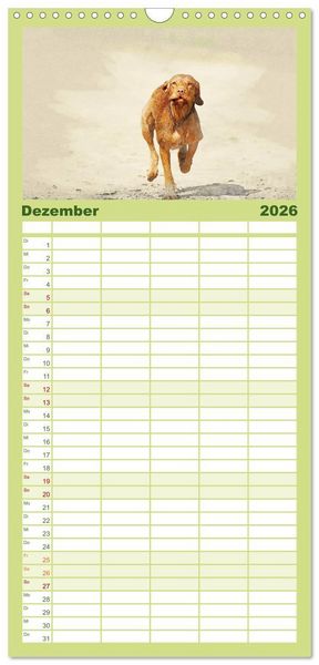 Produktbild: Familienplaner 2026 - Magyar Vizsla 2026 mit 5 Spalten (Wandkalender, 21 x 45 cm) CALVENDO
