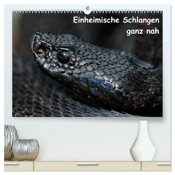 Produktbild: Einheimische Schlangen ganz nah (hochwertiger Premium Wandkalender 2026 DIN A2 quer), Kunstdruck in Hochglanz