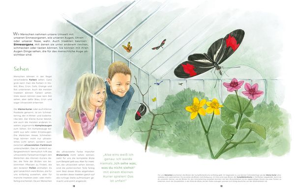 Produktbild: Insekten - Kleine Lebewesen, gro&szlig;e Vielfalt