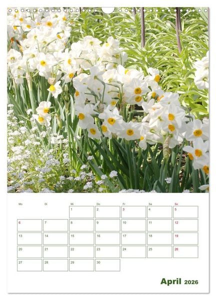 Produktbild: Wei&szlig;e Bl&uuml;ten im Gr&uuml;nen (Wandkalender 2026 DIN A3 hoch), CALVENDO Monatskalender
