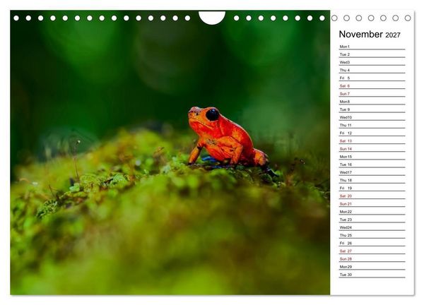 Produktbild: Feel the Wild &ndash; Costa Rica (Wall Calendar 2027 DIN A4 landscape), CALVENDO 12 Month Wall Calendar