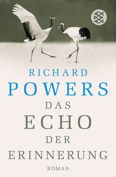 Produktbild: Das Echo der Erinnerung