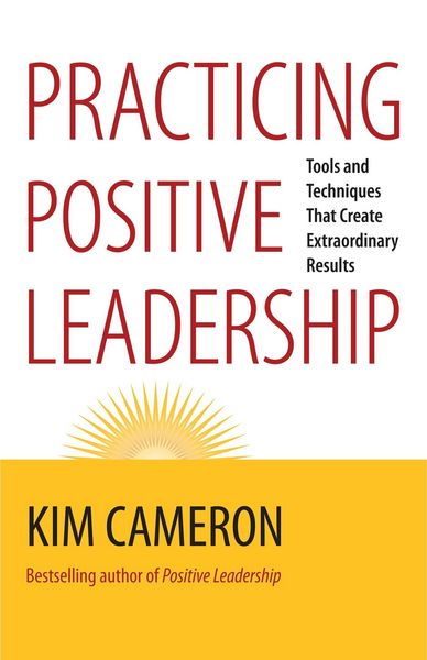 Produktbild: Practicing Positive Leadership