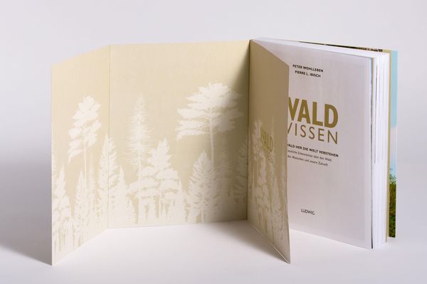 Produktbild: Waldwissen