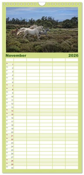 Produktbild: Familienplaner 2026 - Provence romantique mit 5 Spalten (Wandkalender, 21 x 45 cm) CALVENDO