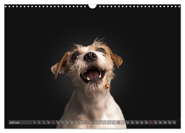 Produktbild: Fang das Leckerlie (Wandkalender 2026 DIN A3 quer), CALVENDO Monatskalender