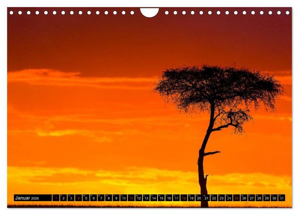 Produktbild: Masai Mara 2026 (Wandkalender 2026 DIN A4 quer), CALVENDO Monatskalender