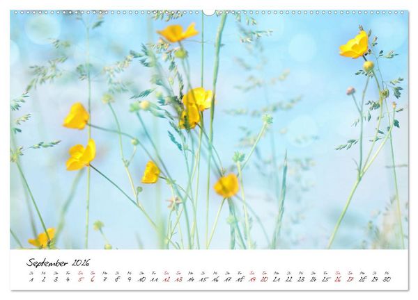 Produktbild: Sch&ouml;nheiten in freier Natur (hochwertiger Premium Wandkalender 2026 DIN A2 quer), Kunstdruck in Hochglanz