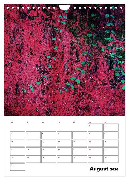 Produktbild: Mauerbl&uuml;mchen - Poesie im Allt&auml;glichen als Monatsplaner (Wandkalender 2026 DIN A4 hoch), CALVENDO Monatskalender