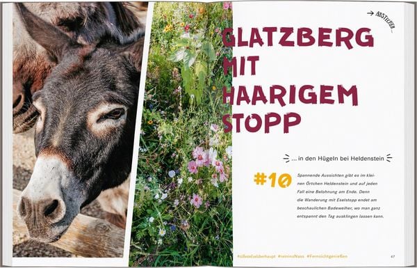 52 kleine & große Eskapaden im bayerischen Inn-Salzach