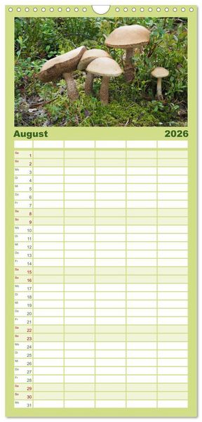 Produktbild: Familienplaner 2026 - Pilze - tolle Funde mit 5 Spalten (Wandkalender, 21 x 45 cm) CALVENDO