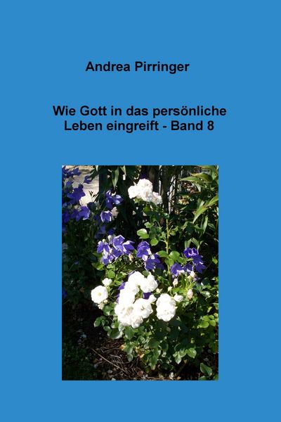 Produktbild: Wie Gott in das pers&ouml;nliche Leben eingreift - Band 8