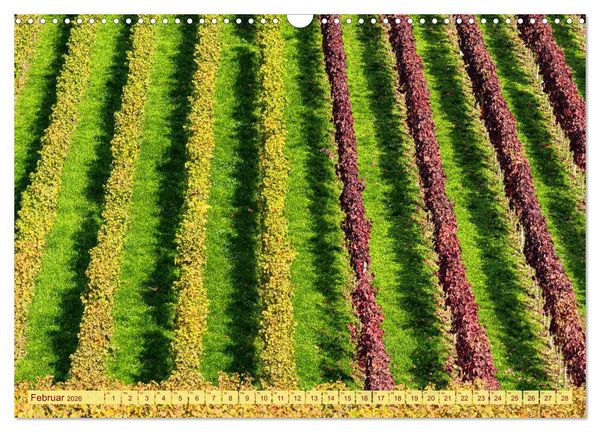 Produktbild: Farbenpr&auml;chtige Weinberge (Wandkalender 2026 DIN A3 quer), CALVENDO Monatskalender