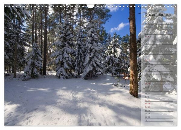 Produktbild: Unser Wald - Magische Sichten in norddeutsche W&auml;lder / Geburtstagskalender (Wandkalender 2026 DIN A3 quer), CALVENDO Monatskalender