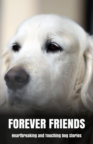 Produktbild: Forever Friends: Heartbreaking and Touching Dog Stories