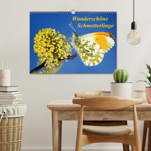 Produktbild: Wundersch&ouml;ne Schmetterlinge (Wandkalender 2026 DIN A3 quer), CALVENDO Monatskalender