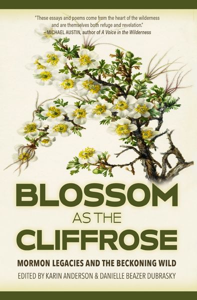 Produktbild: Blossom as the Cliffrose
