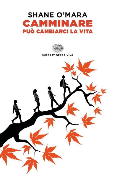 Produktbild: Camminare pu&ograve; cambiarci la vita