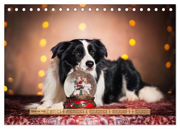 Produktbild: H&uuml;tehunde - H&uuml;ter der Herzen (Tischkalender 2026 DIN A5 quer), CALVENDO Monatskalender