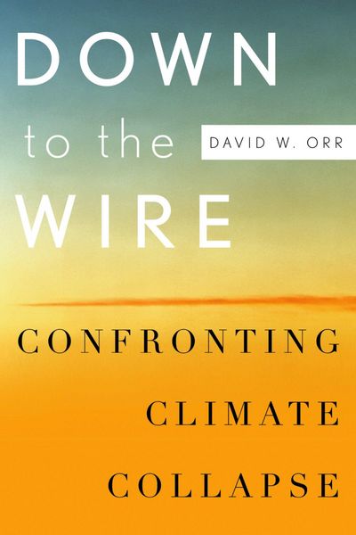 Produktbild: Down to the Wire
