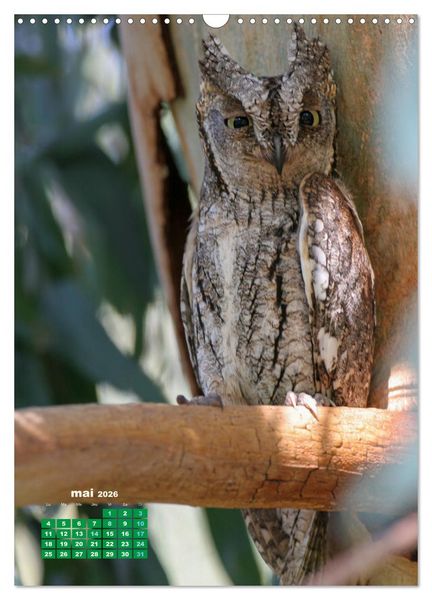 Produktbild: Lesbos l'&icirc;le aux oiseaux (Calendrier mural 2026 DIN A3 horizontal), CALVENDO calendrier mensuel