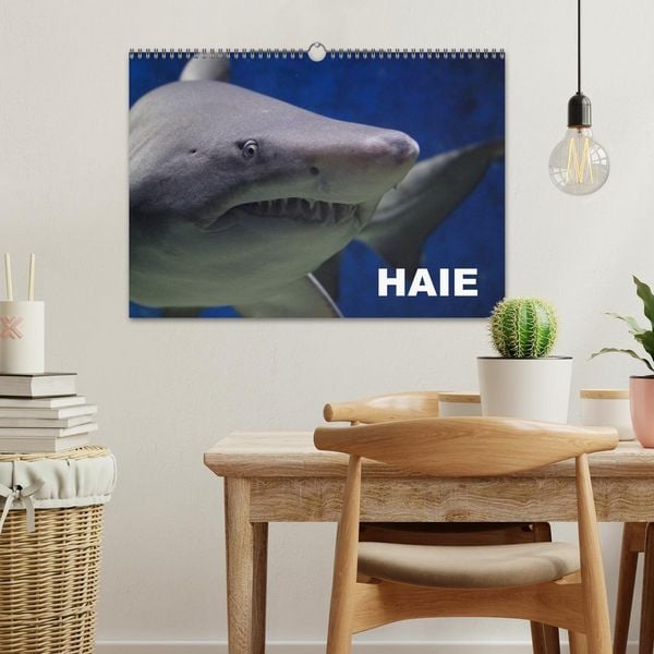 Produktbild: Haie (Wandkalender 2026 DIN A3 quer), CALVENDO Monatskalender