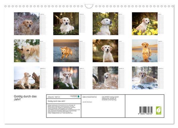 Produktbild: Goldig durch das Jahr! (Wandkalender 2026 DIN A3 quer), CALVENDO Monatskalender
