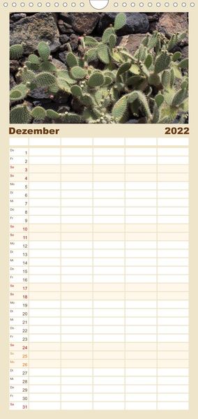 Produktbild: Familienplaner Faszination Kakteen (Wandkalender 2022 , 21 cm x 45 cm, hoch)