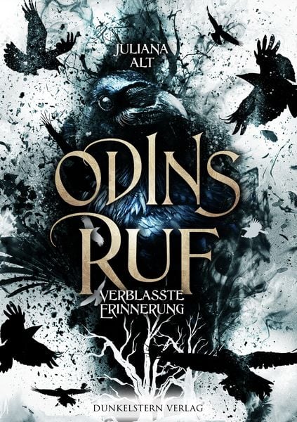 Produktbild: Odins Ruf - Verblasste Erinnerung