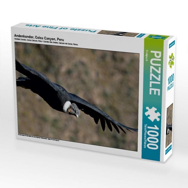 Produktbild: CALVENDO Puzzle Andenkondor, Colca Canyon, Peru 1000 Teile Puzzle quer | 1000 Teile Lege-Gr&ouml;&szlig;e 64 &times; 48 cm Foto-Puzzle f&uuml;r gl&uuml;ckliche Stunden