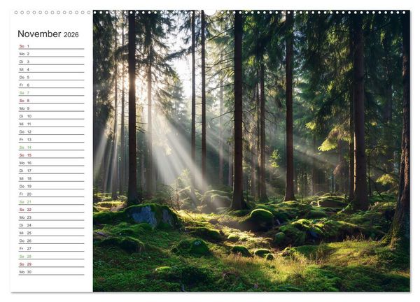 Produktbild: Gr&uuml;ne Zukunft (Wandkalender 2026 DIN A2 quer), CALVENDO Monatskalender