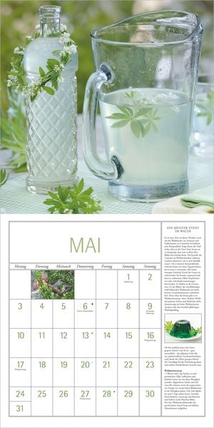 Produktbild: DuMonts Kr&auml;uter Kalender 2027