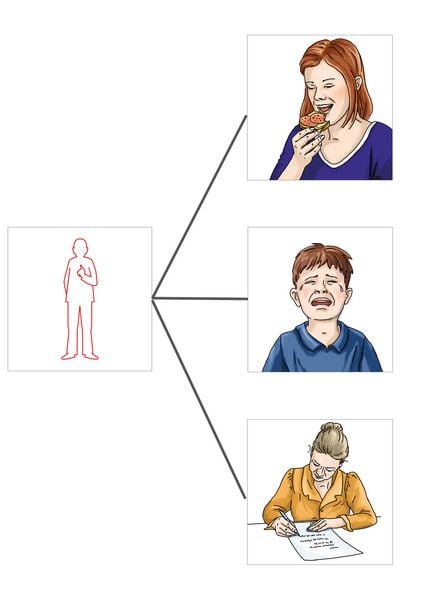Produktbild: Vocabular