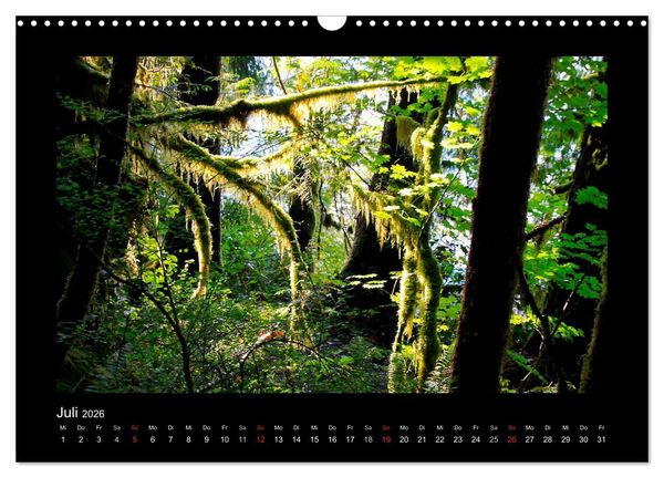 Produktbild: W&auml;lder, fotografiert auf vier Kontinenten (Wandkalender 2026 DIN A3 quer), CALVENDO Monatskalender