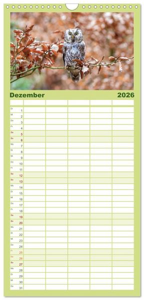 Produktbild: Familienplaner 2026 - Europas Greifv&ouml;gel und Eulen mit 5 Spalten (Wandkalender, 21 x 45 cm) CALVENDO