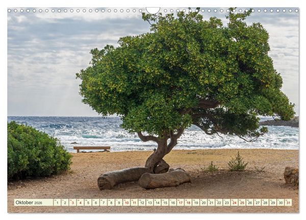 Produktbild: Mediterrane Flora - Pflanzen des S&uuml;dens (Wandkalender 2026 DIN A3 quer), CALVENDO Monatskalender